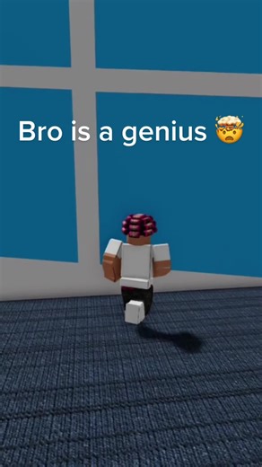 Roblox Window Vision POV Meme