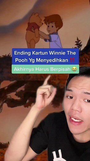 Heartbreaking Conclusion of Winnie The Pooh Animated Series