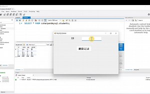 C#（窗体）WindowsForm删除MySQL的数据(3)