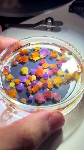 AIじゃない、本物の「いのちの輝き」 | baby