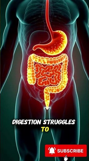 What Happens Inside Your Body When You Eat Too Much? | 3D Medical Animation #humanbody #facts