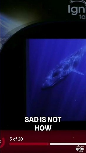 What Does Blue Feel Like?