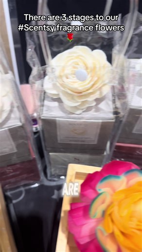 3 stages to our #scentsy #fragrance #flowers