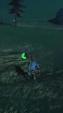 CEMU BOTW MP – Fighting Druid at the Lynel Spawn Pt 4 ⚔️🔥 | Breath of the Wild Multiplayer