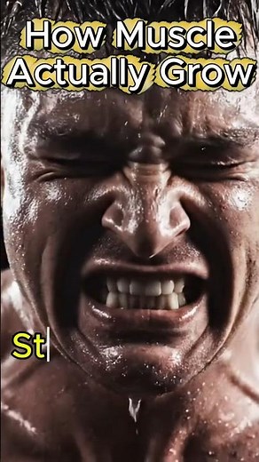 How Muscle Actually Grow ?