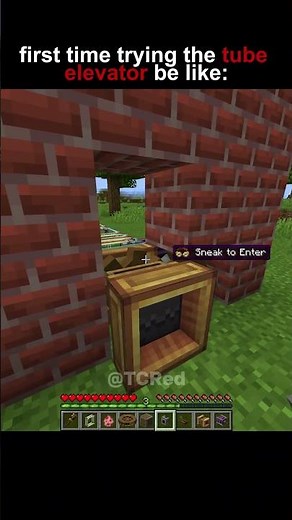 First time trying the Tube Elevator in Minecraft Create Mod be like: