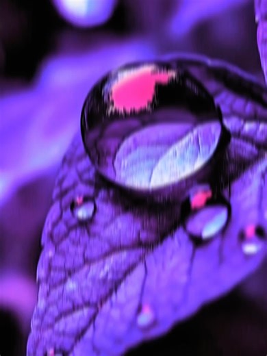 Stunning Purple Aesthetic Wallpapers for Your Screen