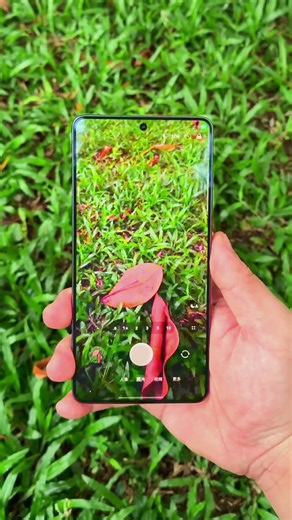 Samsung S26 UltraDisplay of screen color reproduction