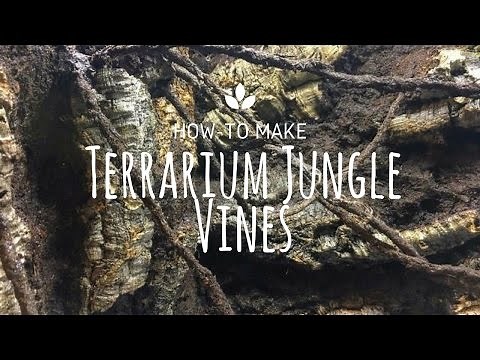 How to make Terrarium Jungle Vines