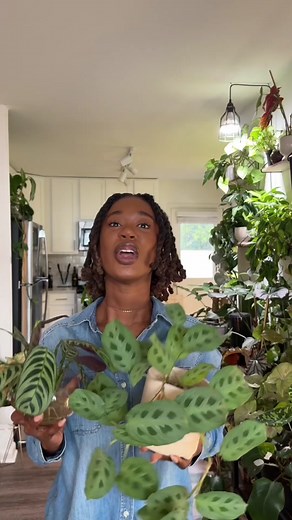 Paige Tailyn on TikTok