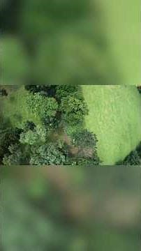 3 VIDEOS INTO 1 || FPV FREESTYLE #drone #fpvdrone #fpvfreestyle