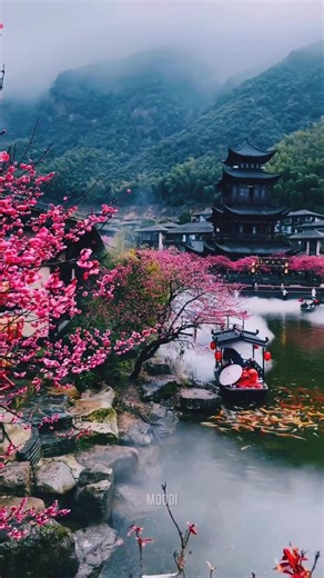 POV: Resting in a Japanese Temple during the rain 🌧️⛩️ #asmr #japan