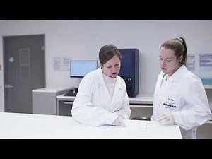 Molecular Diagnostics Workflow: Medium-to-High Throughput Instruments