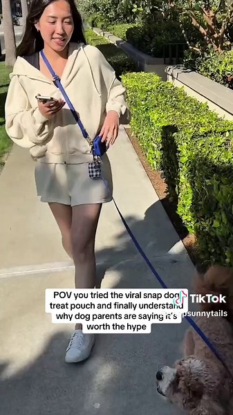 Finally an easy to clean and cute treat pouch that was so thoughtfully designed by a busy dog parent😫 #dogparents #dogtreats #treatpouch #siliconeproducts #dogsoftiktok