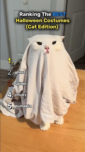 Ranking The BEST Halloween Costumes (Cat Edition) 🎃...​​