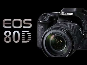 Canon EOS 80D 無線通信の設定