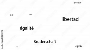 Animated Black and White Poster. Flickering Text in Different Languages. Significant Words are Freedom, Equality and Brotherhood Isolated on White Background. Loop Stock Footage. Computer Graphic Stock Video