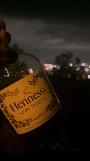 ⃟ (@otterwaffel)’s video of hennything is possible
