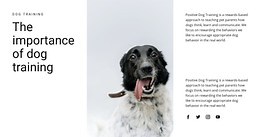How to raise a dog - HTML Template by Nicepage