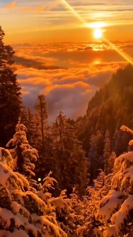 Stunning mountaintop view from above the clouds