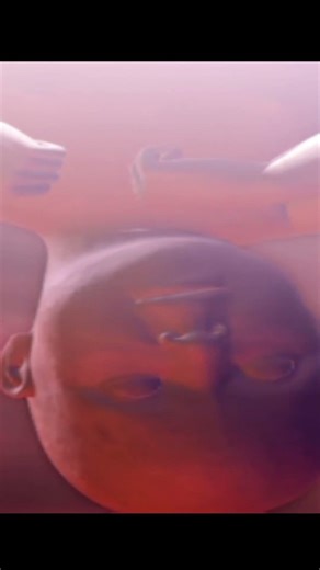 What Is This Game?????? #drakengard #nier #gaming