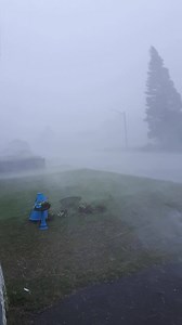 Holy moly , "campbellton nb wow | New Brunswick Weather Infocentre Météo