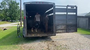 4.4K views · 86 reactions | WATSON | Max Bishop | Facebook