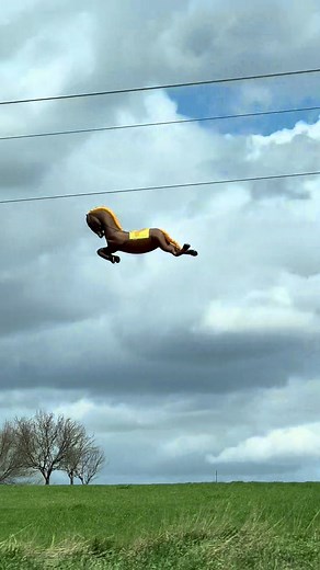 One of the coolest things I’ve seen so far this year was this horse kite flying on a windy day. #kite #horse #outdoors #nature #wisconsin