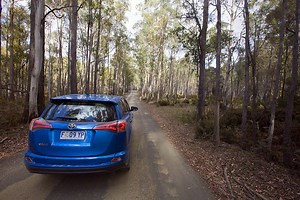 Driving in Tasmania🚗: Tips, Laws, Itineraries And More