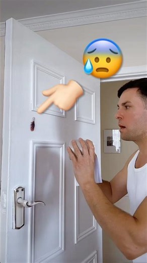 The Big Bug🪳🪳🪳