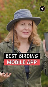 What is your favorite birding app? David Sibley #birdingbyear #alison_kondler #birdsoffacebook #birding #davidsibley | Birding By Ear