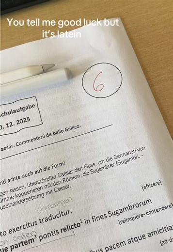 Latein mein Endgegner – Herausforderungen im Schulalltag