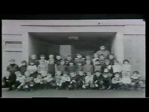 sandra lauer biography