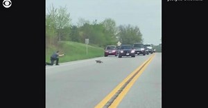 Video shows officer shoot groundhog as it crosses the road