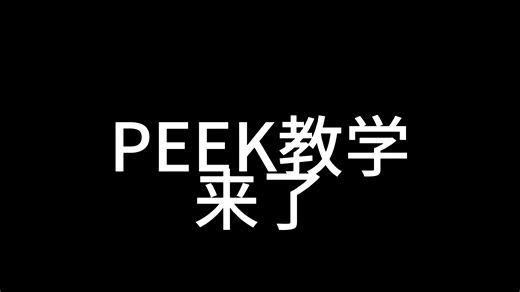 最最最简陋的PEEK教学 甚至B站给我个像素风