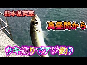 296-【アジ釣り】熊本県天草の堤防から真昼間にウキ釣りでアジ狙い
