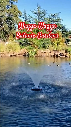 🌷Wagga Wagga Botanic Gardens NSW #waggawagga #nsw #botanicalgarden #zoo #explorensw