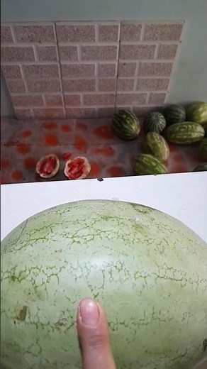 Experiment: Will a watermelon explode if it is dropped from above?🍉🍉💥