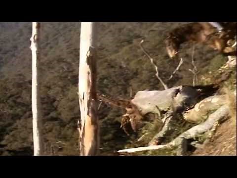 Return To Snowy River-The Descent (HD Quality)