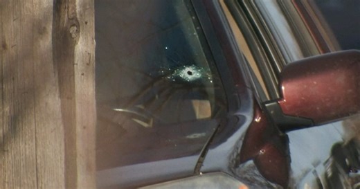 Immigration agent fatally shoots driver in Minneapolis