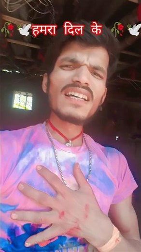 🥀🕊️हमरा दिल के 🥀🕊️