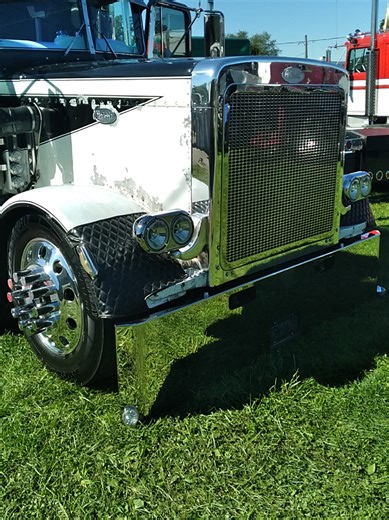 Custom Peterbilt 359 Trucking Showcase