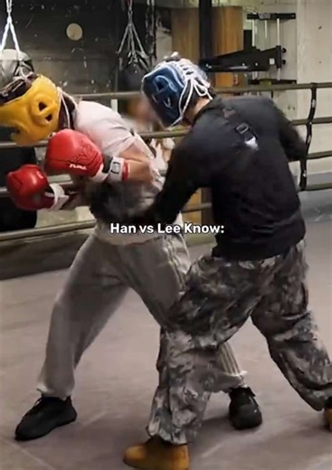 Han is so adorable🥹 #straykids #bangchan #leeknow #hanjisung #i_n | minsung