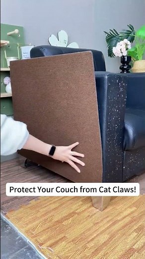 The Hack To Stop Cat Scratching Couch Damage Forever! #cat