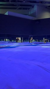 🏜️✨夢みなとタワー3階展示エリア✨🏜️鳥取砂丘の砂を実際に触って体験できるコーナー！🎥プロジェクションマッピング体験🔍虫眼鏡型デバイスで魅力探索も👀ワクワクが止まらない展示が盛りだくさん！ぜひ #夢みなとタワー へ見に来てね✨#とっとりサンドパビリオン