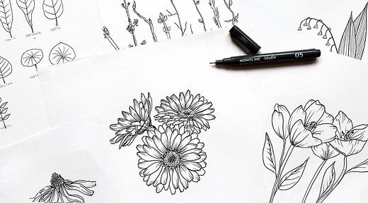 Botanical Line Drawing | Peggy Dean | Skillshare