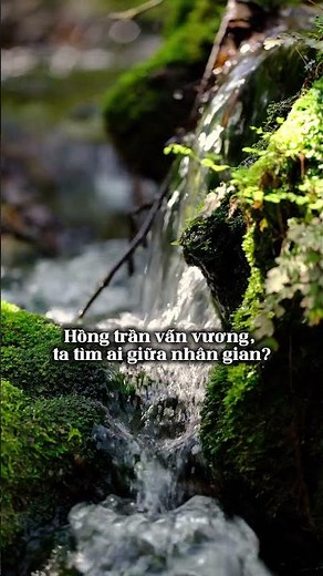 Hồng Trần Vấn Vương - Nhạc Cổ Phong | Sen Nở Trong Cõi Lòng Hoang Mang
