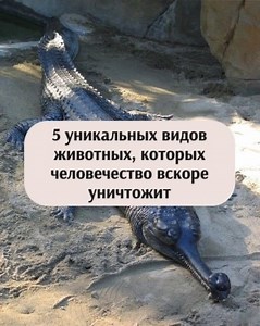 1.6K views · 11 reactions | По подсчетам ООН в 2011 году население...