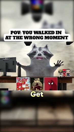 What an Awkward Moment to Walk in on... #raccoon #patgarburgar #funkopops #comedy