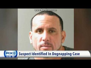 WPIX PIX 11 News at 10pm Sunday open May 21, 2017